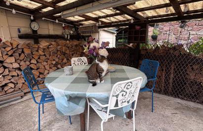 Gite Nathalie - Foto 20