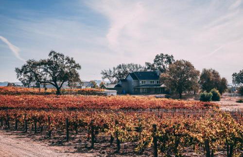 The Hive House at Castoro Cellars - Foto 44