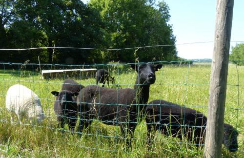 Littlemead - Newly renovated private studio near Glastonbury - Foto 21