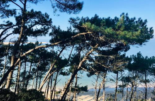 les petits chalets de kzo - Foto 49