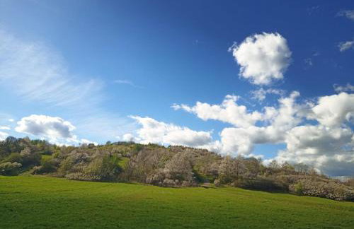 U Ewy pod Brzozami - Foto 32