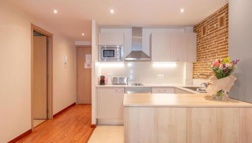 Serennia Cest Apartamentos Arc de Triomf - Foto 5, stove, pet friendly