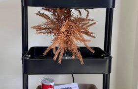 (1409) Studio Conforto Urbano & Brisa Mar - Foto 9