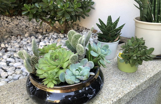 Casa Pedro e Ines - Foto 50