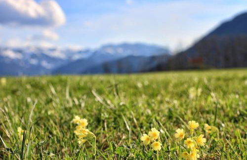 AlexaFerien - Foto 45