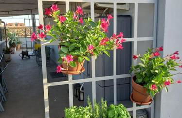 Terrazza Talenti - Foto 6