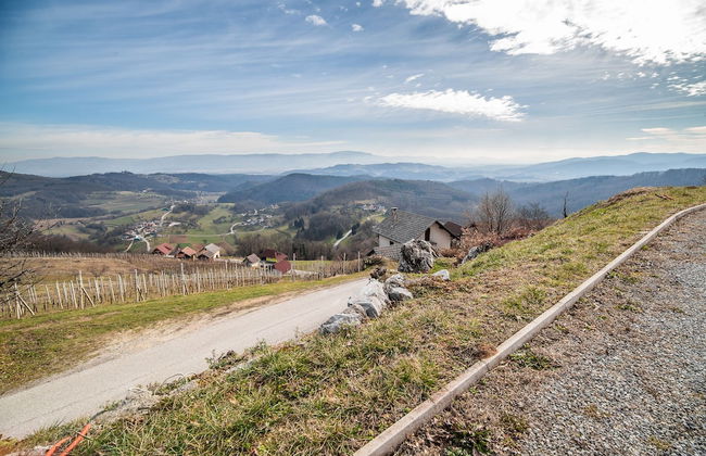 Luxury Holiday Home Zupan - Foto 21