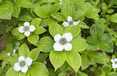 Stunning Waterfront Condo Breathtaking Views 202 - Foto 19