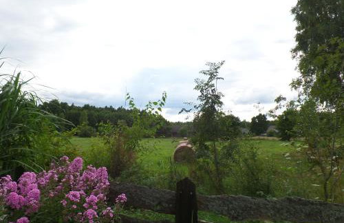 Dom w Gruszkach - Puszcza Białowieska - Foto 34