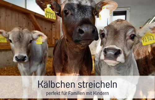 Bauernhof Finkel - Ferienwohnungen mit Balkon - Bergsicht - Traktor mitfahren - Tiere streicheln - entspannter Familienurlaub - zentrale Lage nahe Oberstdorf - Foto 59