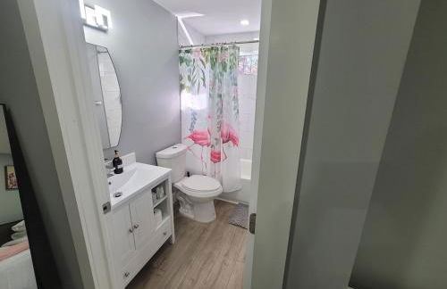 Jungle in the City! - Foto 6