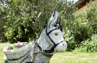 Holiday Home 'A casa di Elena' mit privatem Pool by Interhome - Foto 21