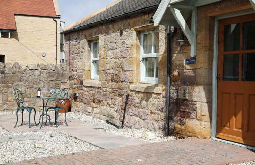 Greenfinch - Foto 12