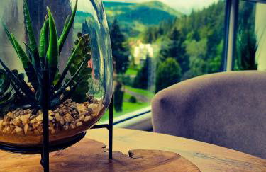 Apartament Kurort Kozubnik Wilcza Wataha - Foto 12