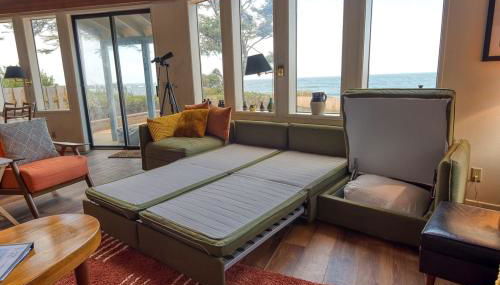 #StayinMyDistrict Cape Arago Sanctuary at the Sea - Foto 5