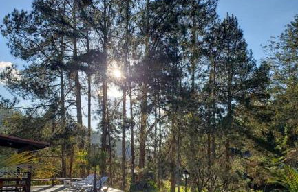 Friburgo Lagos p Pesca,Banho,Sauna,Campinho - Foto 50