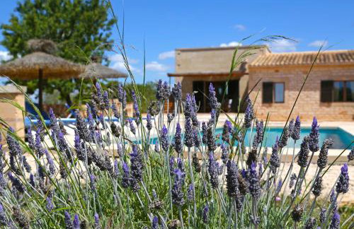 Finca Tiana - Photo 41