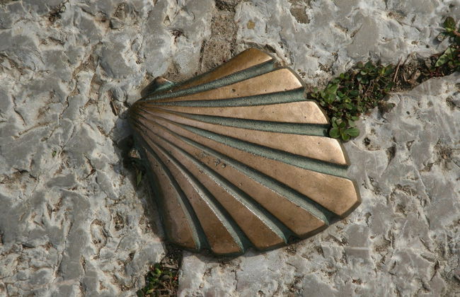 Tour del peregrino ¡Últimos kilómetros del Camino de Santiago - Foto 1