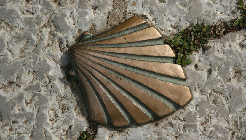 Concha de vieira na rua