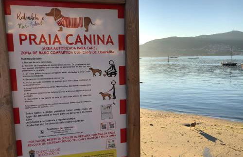 Casa Arealonga - Foto 21