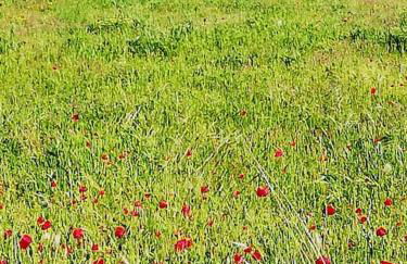 Panoramico, in villa, grande, con ampie terrazze - Foto 80