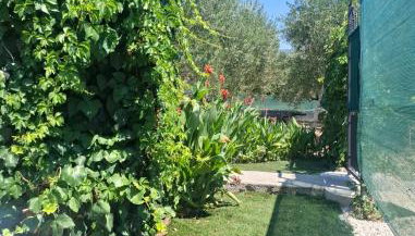 Villa D`Amante - Foto 5