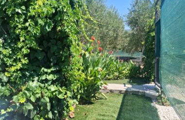 Villa D`Amante - Foto 5