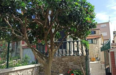 A casiña de Estela - Foto 20