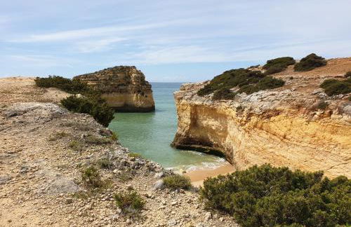 ML Central Vila Apartment - Foto 20