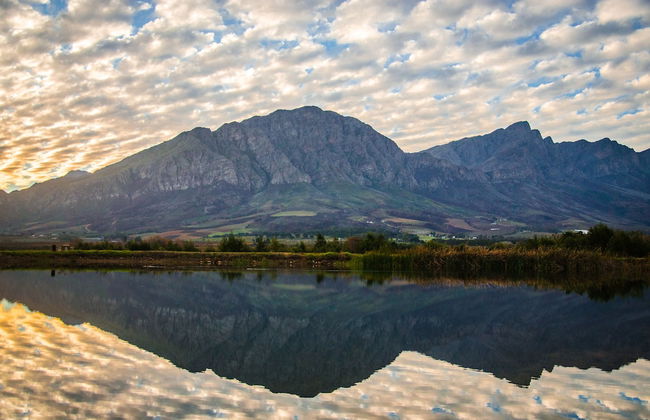 Reflections Guest Farm - Photo 71