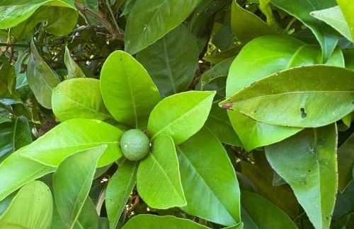 Costa Brava Paradís - Foto 43