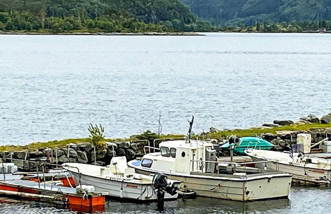 8 Person Holiday Home in Barmen - Foto 37