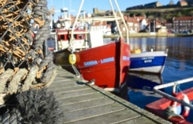 Rockcliffe Boutique 2-bed Apartment in Whitby - Foto 91