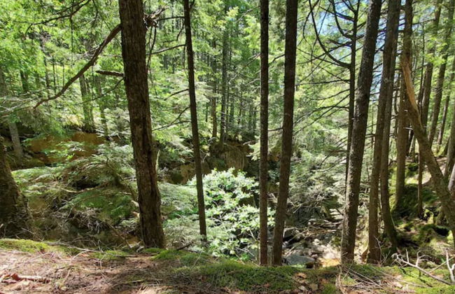 The Danbury - Foto 28