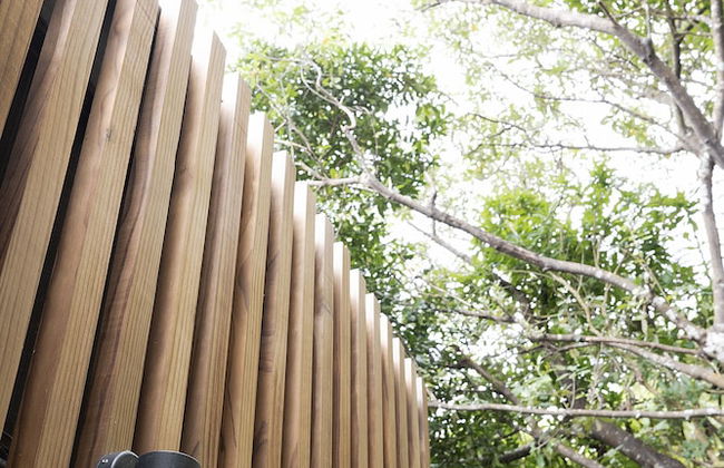 Two Peas In A Pod - Photo 27