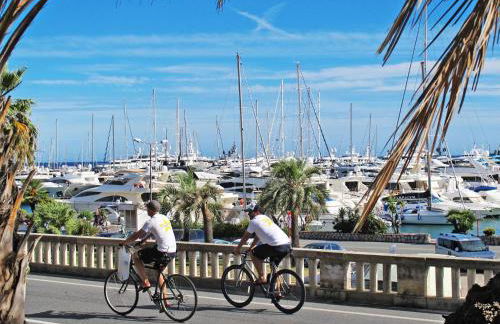 Apartment Nausicaa by Interhome - Foto 32