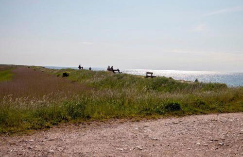 Silbermöwe - b65688 - Foto 11