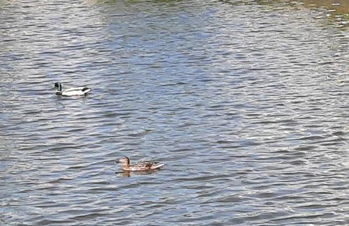 Villa Casa Dina - Foto 41