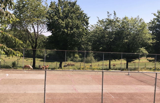 5 bedroom House in Gulpen with garden and terrace - Photo 24