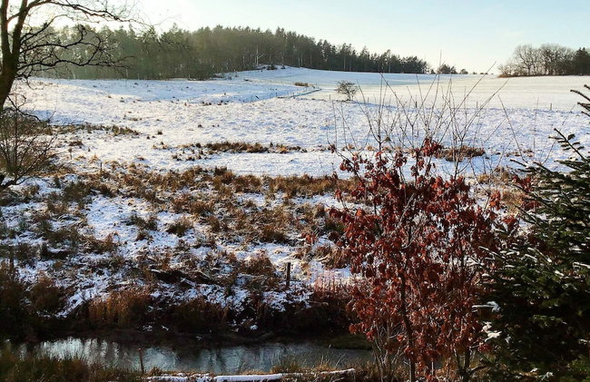 Holiday Home in Holstebro - Photo 23