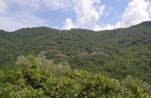 Nature Retreat in Testico - Photo 76