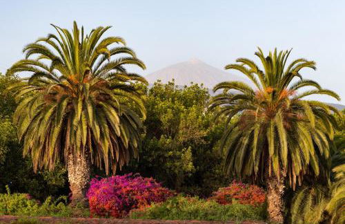 Apartment with Mount Teide and sea views - Foto 22