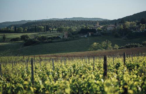 Fattoria San Donato - Foto 66