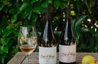 Pago de Tharsys - Foto 45