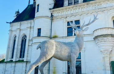 Château Wellness Exclusif - Yoga et Événements Luxe, Loire Valley - Photo 70