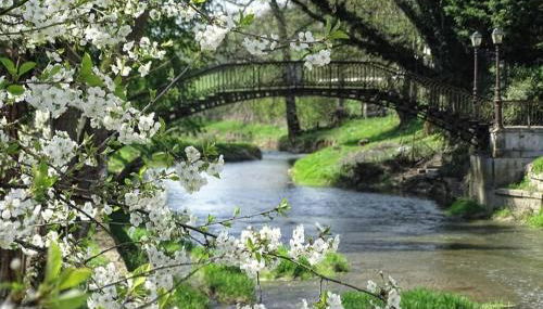 Gîte du Domaine de la Forge - Photo 2