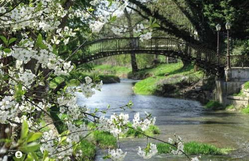 Gîte du Domaine de la Forge - Photo 2