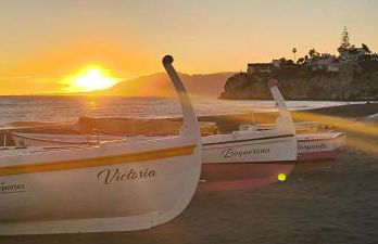 El sueño de Noctiluca - Photo 12