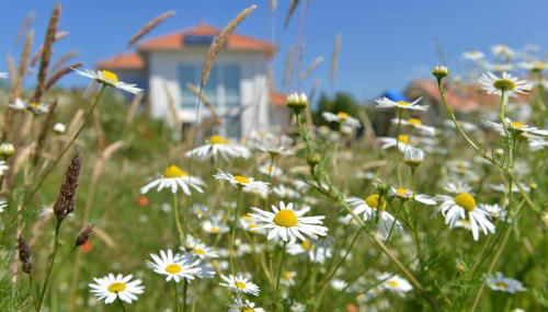 Villa Seabird - Foto 3, Garden view