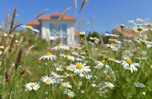 Villa Seabird - Foto 3